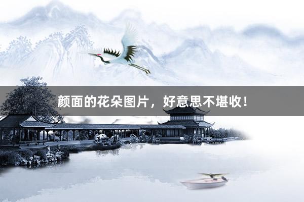 颜面的花朵图片，好意思不堪收！