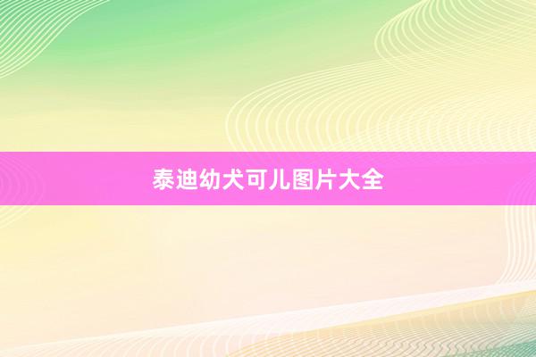 泰迪幼犬可儿图片大全