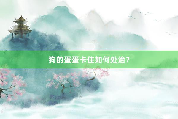狗的蛋蛋卡住如何处治？